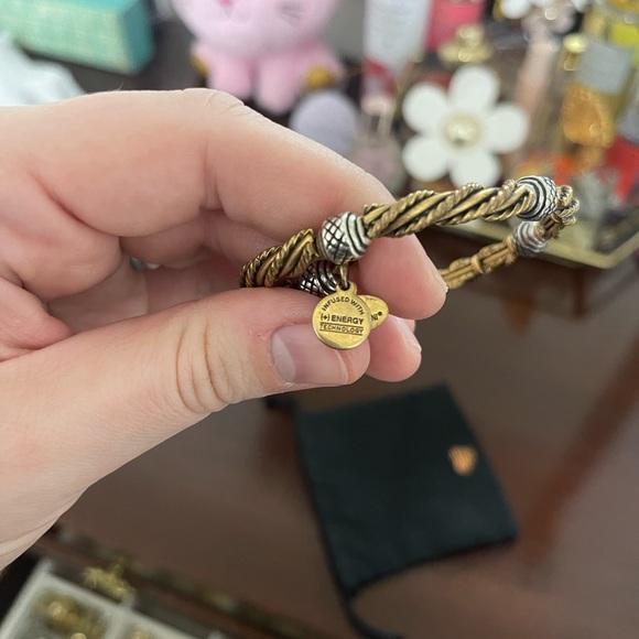 Alex and Ani Two Tone Wrap Bracelet - Picture 4 of 5